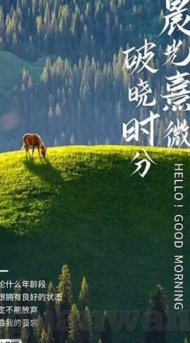 星空体育app下载手机-星空体育app，手机娱乐新体验